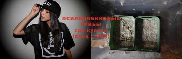 дживик Верея