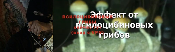 дживик Верея
