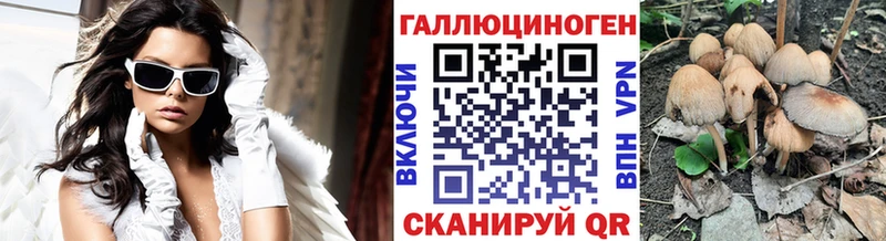 Галлюциногенные грибы GOLDEN TEACHER  Орехово-Зуево 